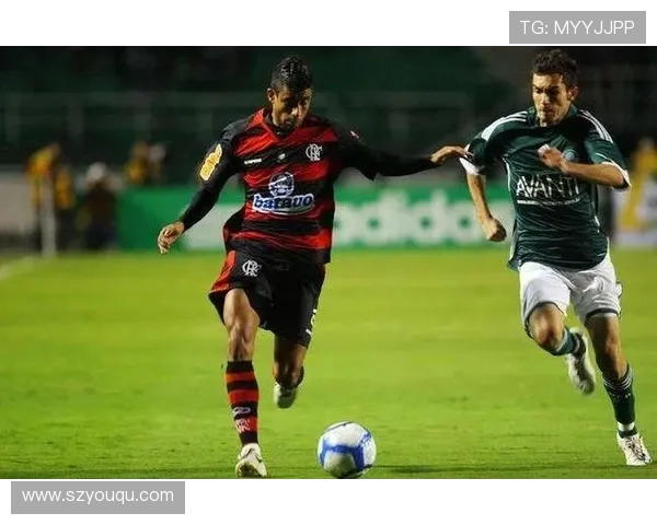 巴甲联赛历史夺冠次数统计帕尔梅拉斯领先弗拉门戈紧随其后